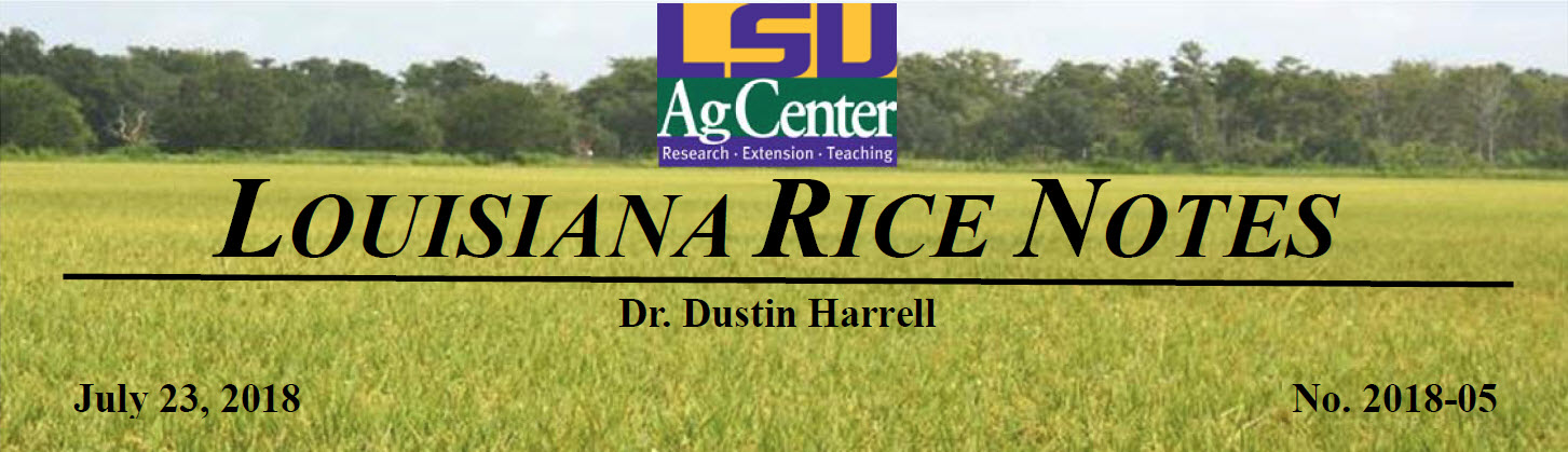 2018 Louisiana Rice Field Notes #5